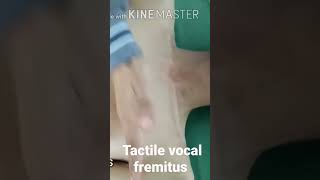 Tactile Vocal Fremitus [upl. by Irrac]