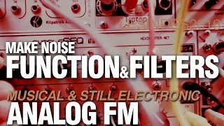 MAKE NOISE FUNCTION  ANALOG FM  FILTER [upl. by Howlend461]