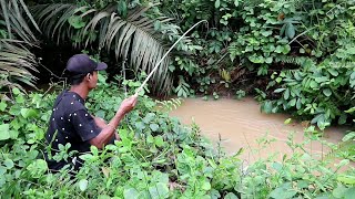 mancing di sungai kecil banyak yang banyak ikan lele nya [upl. by Shoshana]