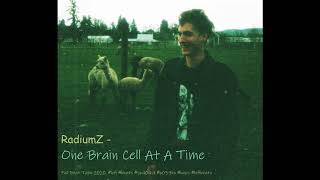 RadiumZ  One Brain Cell At A Time Full Lofi Beat Tape [upl. by Oivlis]