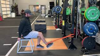 Seated Single Leg Banded Hamstring Curl [upl. by Eenyaj]