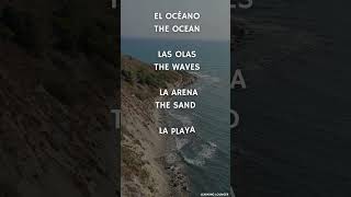 El océano  The Oceano vocabularioingles aprenderingles learnspanish [upl. by Drue]