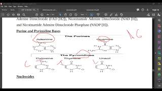 L85 Nucleotides [upl. by Kilian]