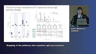 Dr Anika Mijakovac  Mapping of the pathway that regulates IgG glycosylation [upl. by Sedecram]