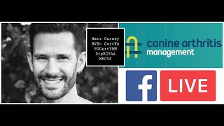 CAM LIVE Nonsteroidal antiinflammatories and grapiprant galliprant with Matt Gurney [upl. by Plerre]