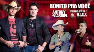 Antony e Gabriel – Bonito Pra Você  Part Pedro Paulo e Alex  Letra [upl. by Inohtna364]