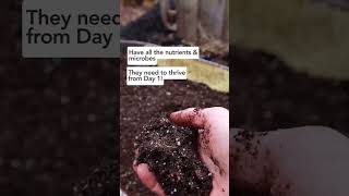 This DIY Seedling Mix will get your plant babies thriving seedstarting seedstarter seedstarts [upl. by Yrrac]