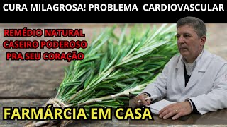 Planta Milagrosa O Melhor REMÈDIO Do Mundo Pra CIRCULAÇÂO DO SANGUE Erva caseiro e natural melhor [upl. by Hasile]