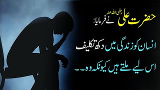 Best Hazrat Ali Quotes in Urdu  Hazrat Ali Ke Aqwal e Zareen  Heart Touching Quotes In Urdu [upl. by Alissa712]