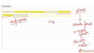 Mention the unique flowering phenomenon exhibited by Strobilanthus Kunthiana neelakuranaji [upl. by Westerfield834]