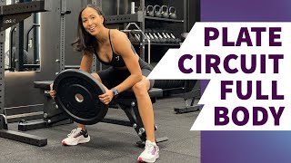 FULL BODY PLATE WORKOUT  15 MINS [upl. by Anitnoc]