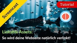 Linkable Assets Best Practice konkrete Beispiele amp 9 mächtige Ideen [upl. by Whipple777]