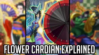 Flower Cardians Explained in 42 Minutes YuGiOh Archetype Analysis [upl. by Parks]