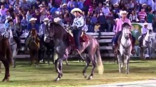 CONCURSO DE CABALLOS BAILADORES FERIA NUEVO MORELOS 2017 [upl. by Christensen]