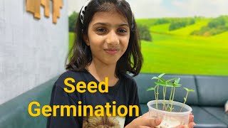 How to germinate seeds [upl. by Nadabus]