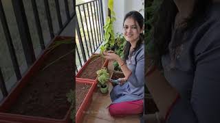 आज बनाया ऐसा खाना देखते ही भूख बढ़ जाएगी 😄 Matar Daal Recipe amp Rice in clay pot [upl. by Hilde]