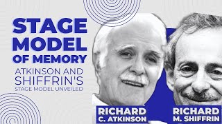 Atkinson and Shiffrins Stage model of Memory [upl. by Ecienahs250]