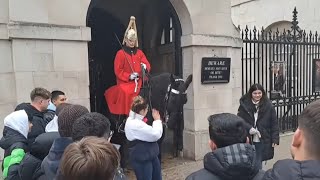 Tourist slaps horse across the face 3 times guard shouts step back gets police horseguardsparade [upl. by Enilekaj]