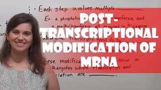 PostTranscriptional Modification of PremRNA [upl. by Henning]