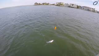 Fishing West Galveston Bay [upl. by Goulden254]