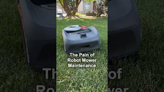 My Painful Robot Lawn Mower Maintenance Experience [upl. by Aicilav]