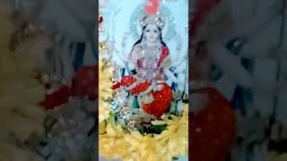 Maha kanaka Durga song music cover tamil melody jaimatadi happynavratri [upl. by Oiznun]