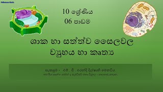 10 ශ්‍රේණිය විද්‍ය‍ාව  6 පාඩම ශාක හා සත්ත්ව සෛල [upl. by Larrad870]