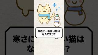 Q：寒さに１番強い猫って何ですか？ 猫 猫好きさんと繋がりたい ねこ [upl. by Haseefan523]