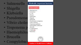 Medically important bacteria  Microbiology  By Imran Yaseen [upl. by Morgun82]