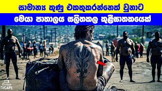 සාමාන්‍ය කුණු එකතුකරන්නෙක් වුනාට මෙයා පාතාලය සලිතකල කුළීඝාතකයෙක්  Sinhala Film Review [upl. by Nylsej]