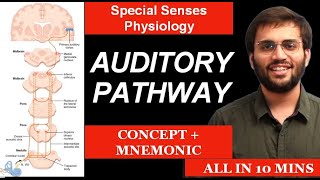 Auditory Pathway  Physiology  Special Senses Physiology  Mnemonic amp Mechanism of Hearing [upl. by Ainnet611]