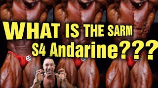 SARM S4 Andarine EXPLAINED My Experience Dosage Side Effects Bulk or Cut [upl. by Filippo]