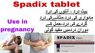 spadix tablet uses in urdu spadix tab use in pregnancyBenefits side effects how to use [upl. by Sarnoff]