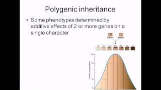 Polygenic inheritance [upl. by Joy]