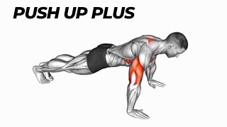 How to Do Push Up Plus 🔥  Beginners Push Ups Course [upl. by Idolah159]