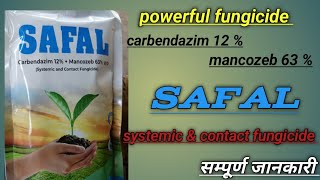 powerful fungicide  carbendazim 12  mancozeb 63  WP  safal पॉवरफूल फंगीसाइड फंगीसाइड क्यों [upl. by Artaed958]