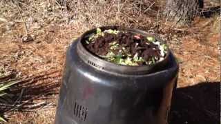 How To Compost Using Earth Machine 101  Part 2 [upl. by Viviana]