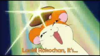 Hamtaro AMV  Duality [upl. by Rubi]