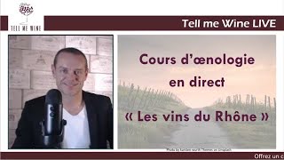 COURS DOENOLOGIE  LES VINS du RHÔNE  Devenez incollable [upl. by Anissej]