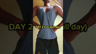 Day 2 bulk💪 pull daybodybuilding motivation selfdiscipline calisthenics homeworkout [upl. by Cannon]