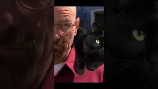 Breaking Bad Parodi movies moviescenes shortsvideo [upl. by Kaycee]