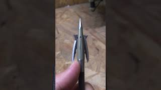 BEAST broadhead is epic broadhead short [upl. by Nide]