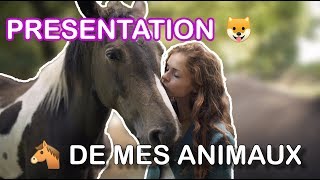 PRESENTATION de mes ANIMAUX [upl. by Aihseyt280]