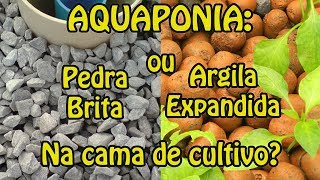 Aquaponia pedra brita ou argila expandida na cama de cultivo [upl. by Leff]