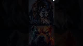 Pitbull vs Doberman American bully Tibetan mastiff kangal Bite force comparison viral ytshorts [upl. by Anadal]