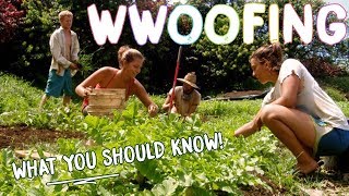 HOW TO WWOOF FOR BEGINNERS  THE BASICS FOR WORK  CHEAP TRAVEL [upl. by Kcirddes]