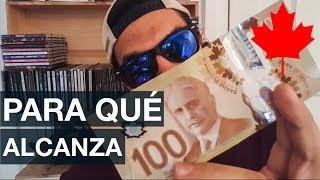 QUE COMPRO CON 100 en CANADÁ [upl. by Belinda]