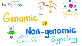 Gprotein Gq Gs Gi JAKSTAT RTK NRTK — Genomic vs NonGenomic actions — Cell Signaling [upl. by Sirotek619]