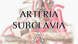 ARTÉRIA SUBCLÁVIA E SEUS RAMOS  Anatomia teórica [upl. by Assirod]