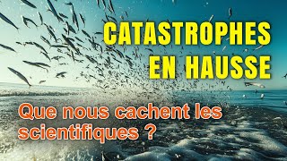 Catastrophes en hausse Que nous cachent les scientifiques [upl. by Englebert215]